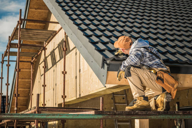 Roof Gutter Cleaning in Camilla, GA
